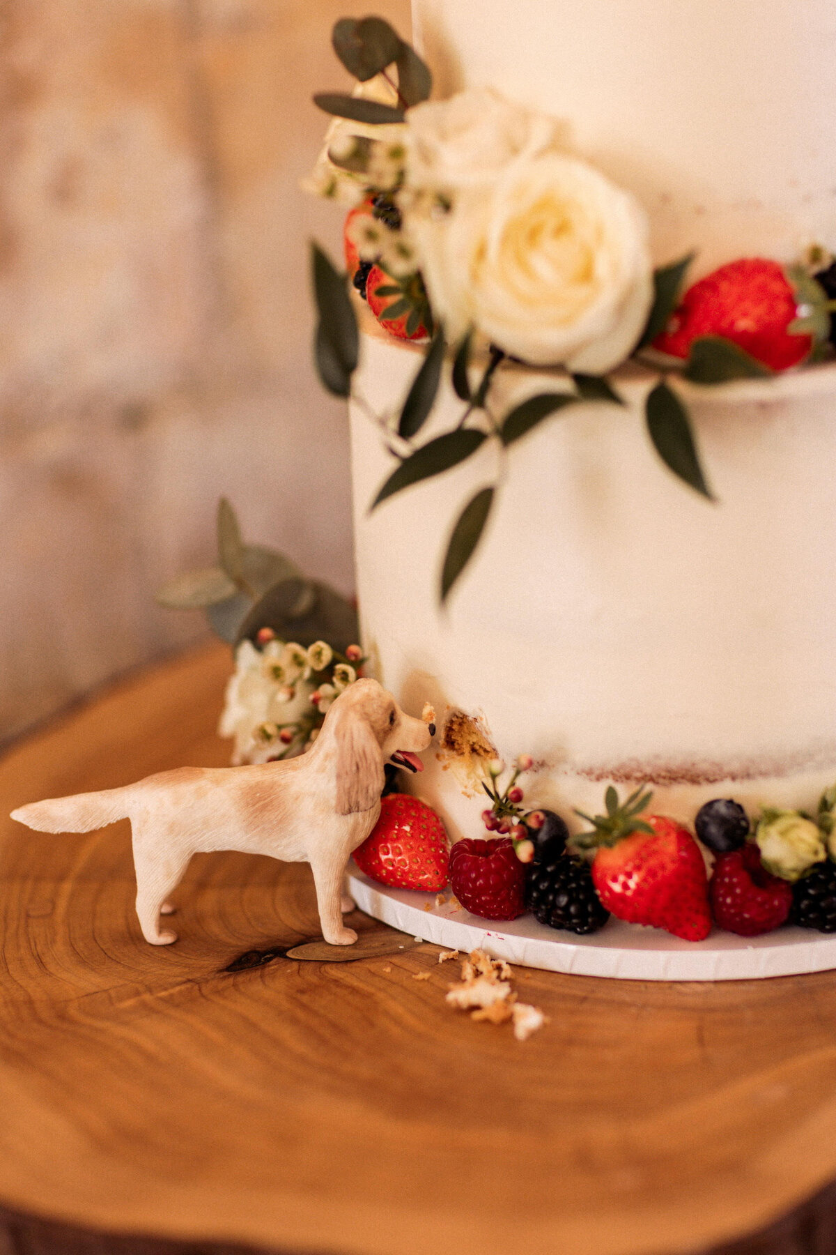 Semi-naked wedding cake with dog and berries