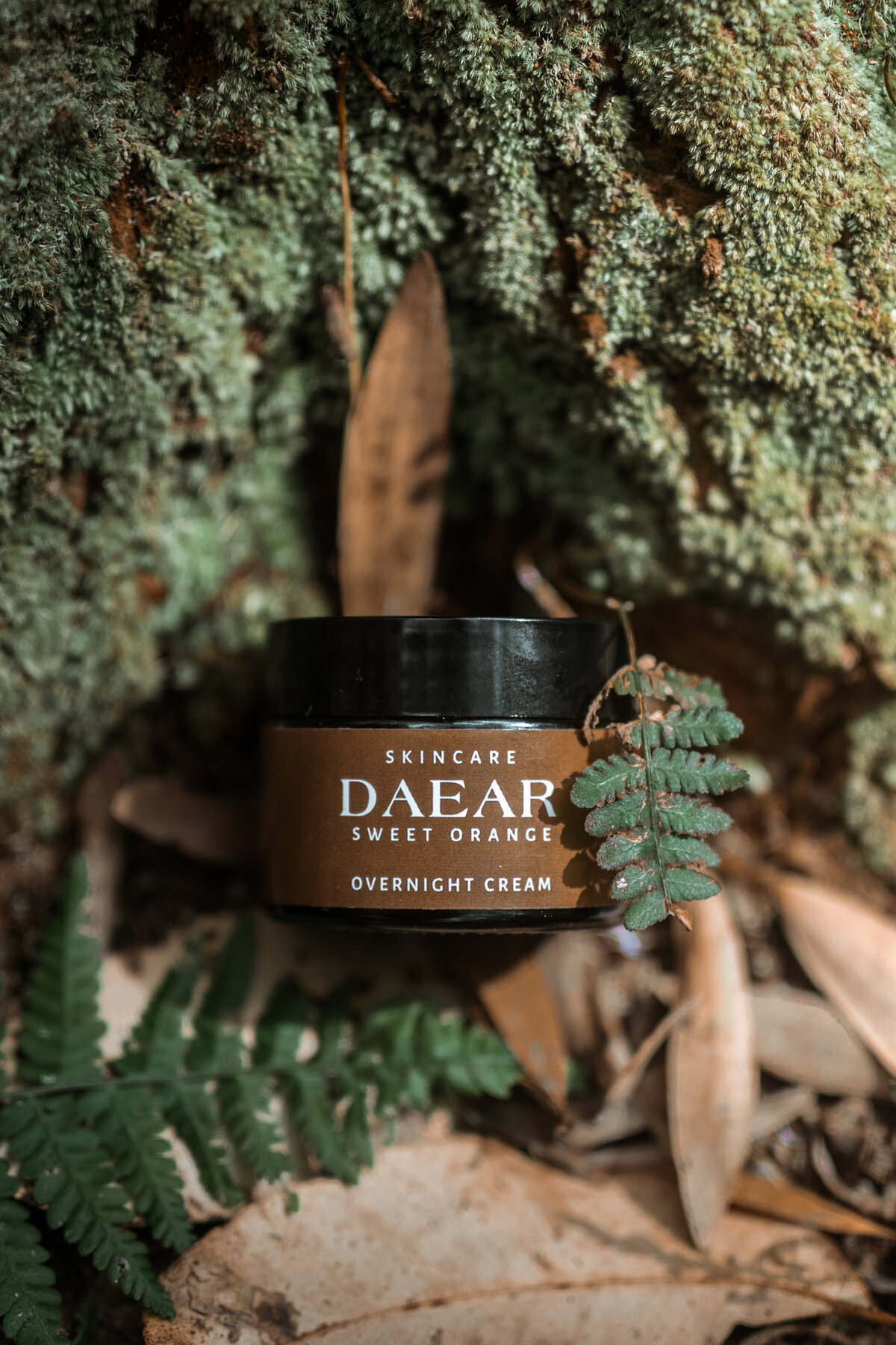 Herbal Skincare Cream positioned among natural greenery