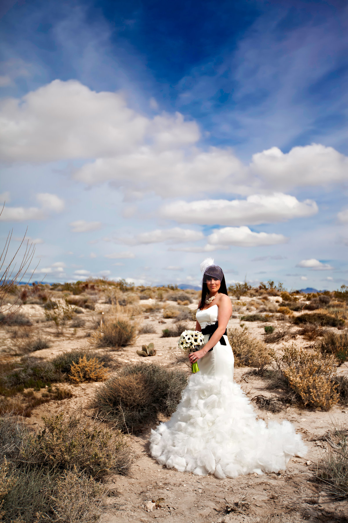 Bride in the Las Vegas Desert