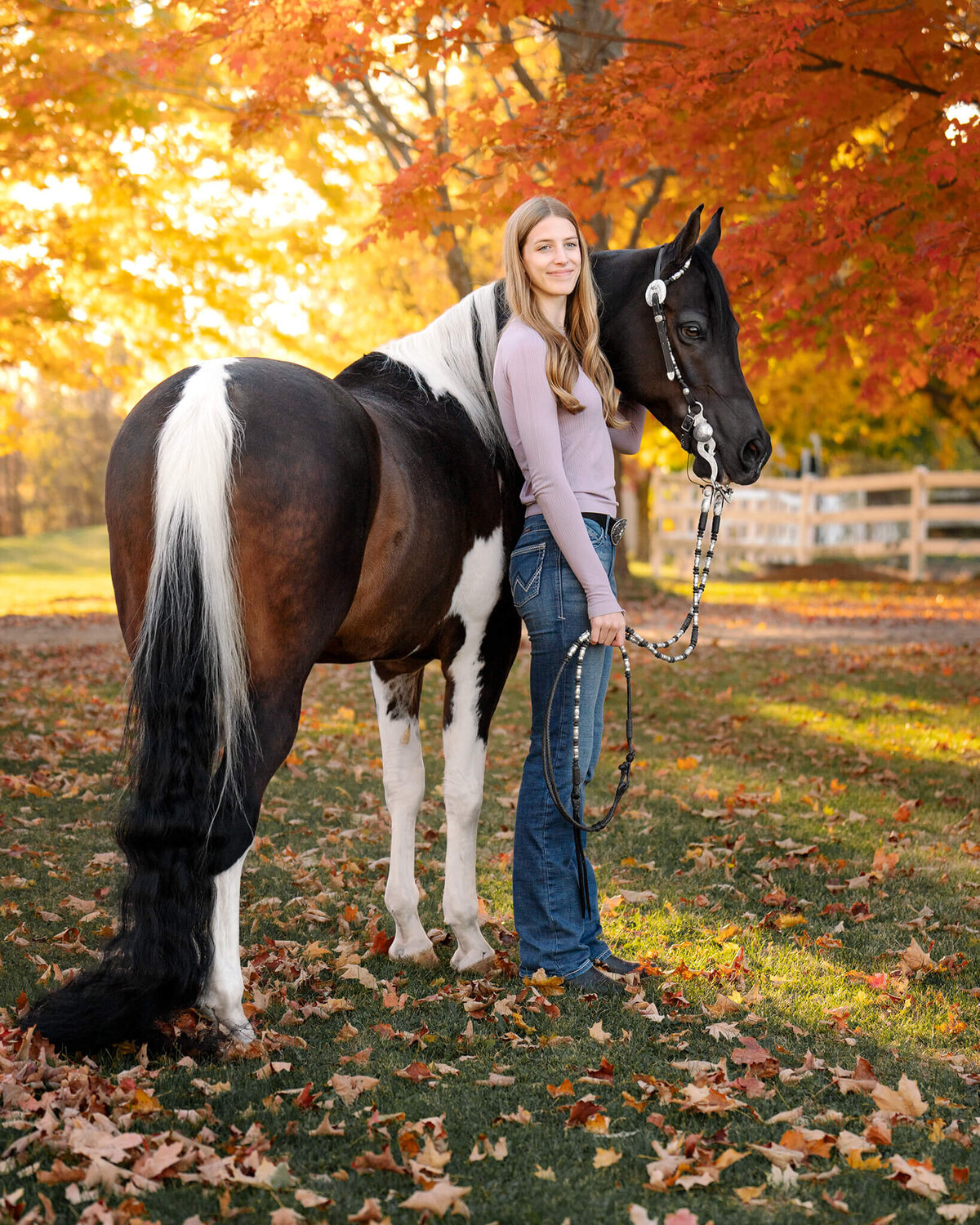 blonde female equestrian wearing a purple shirt and jeans standing next to her bay tobiano Arabian gelding in a field surrounded by beautiful yellow and orange fall tree leaves. 