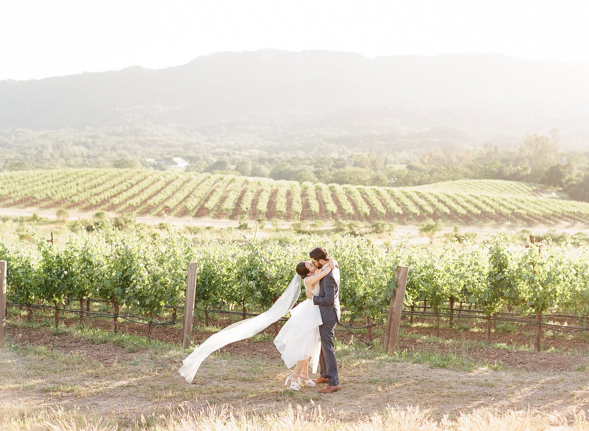 Hamel Winery Wedding-15