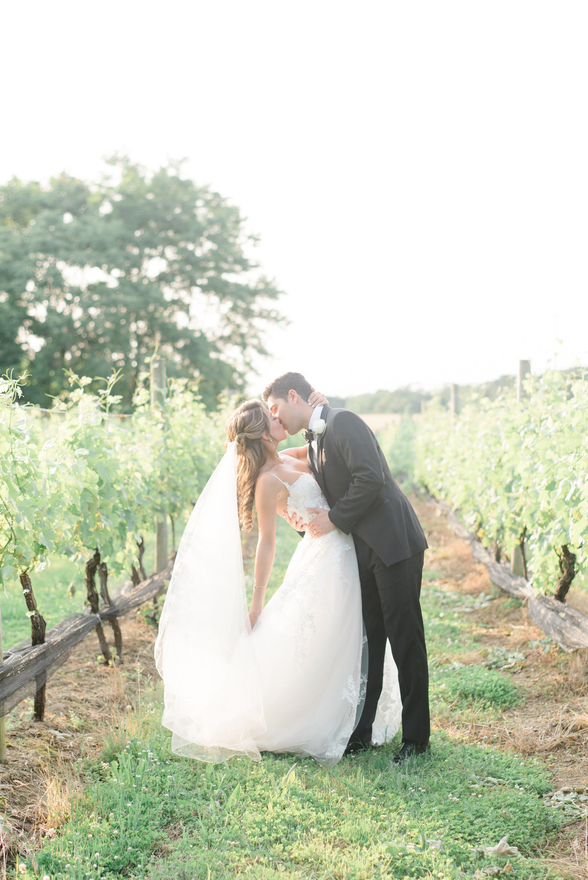 vineyards-bride-and-groom-kiss
