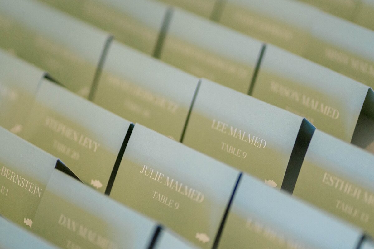 Eliana-Melmed-Photography-Chicago-LosAngeles-Jewish-WeddingPhotography-ShulaNoah-Details-00010