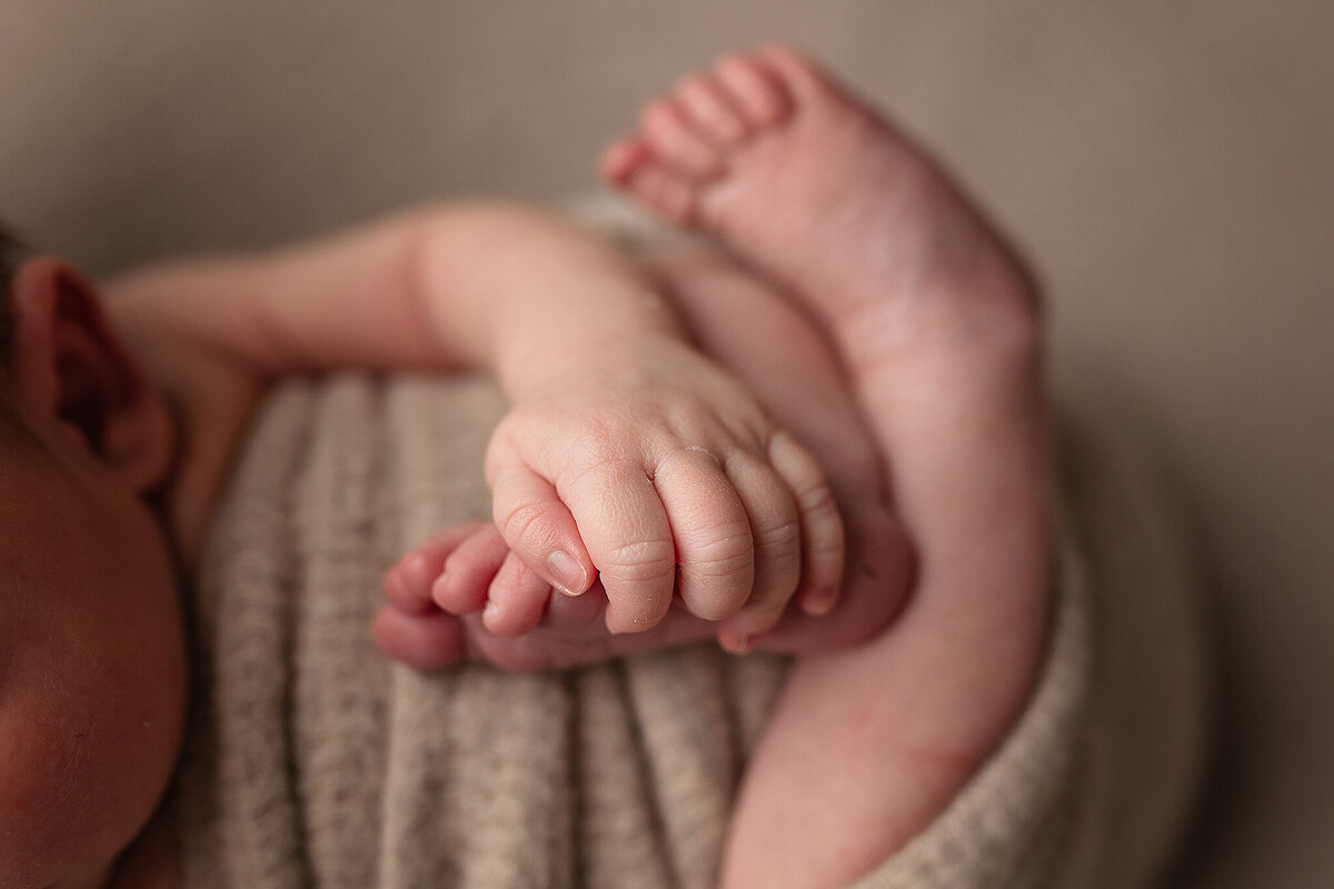 A tiny baby holds his feet during his newborn session.