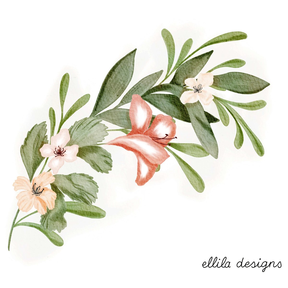 Flowers illustration Ellila Designs