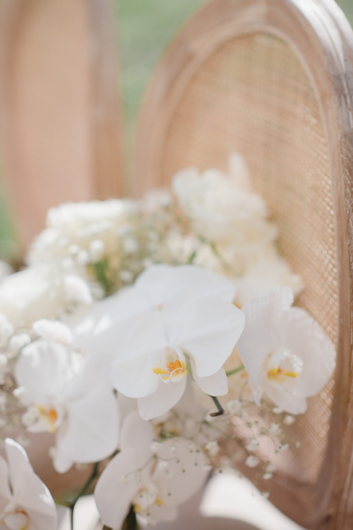 EmilyMillayPhotography_ClevelandPhotographer_7-9-2213