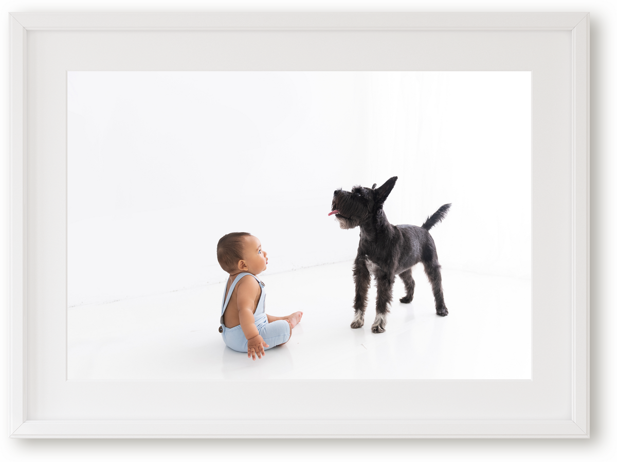 A framed image of a toddler in blue overalls playing with a dog