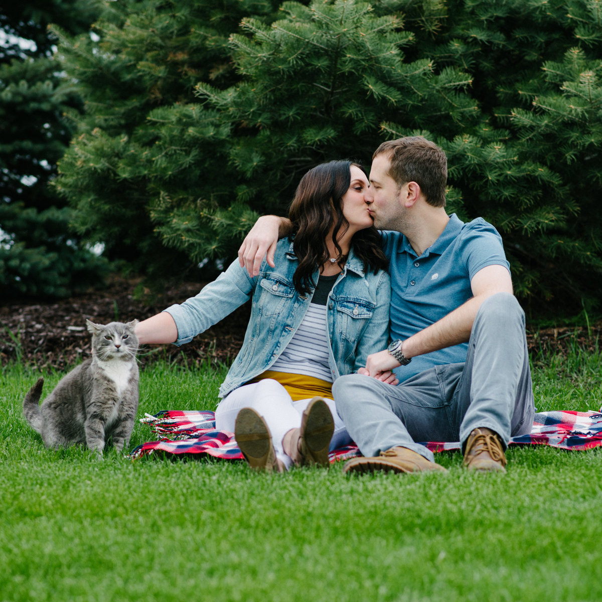 engagement session of couple kissing and petting cat