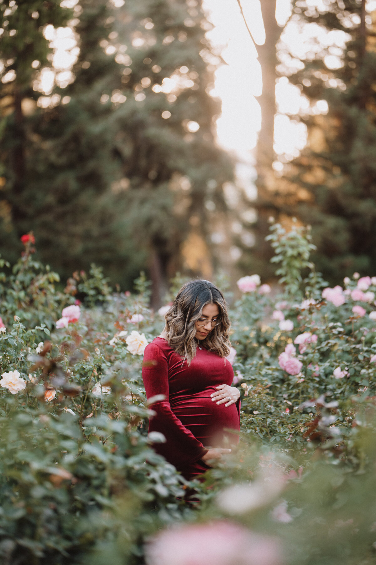 Sacramento Maternity Pregnancy Photographer