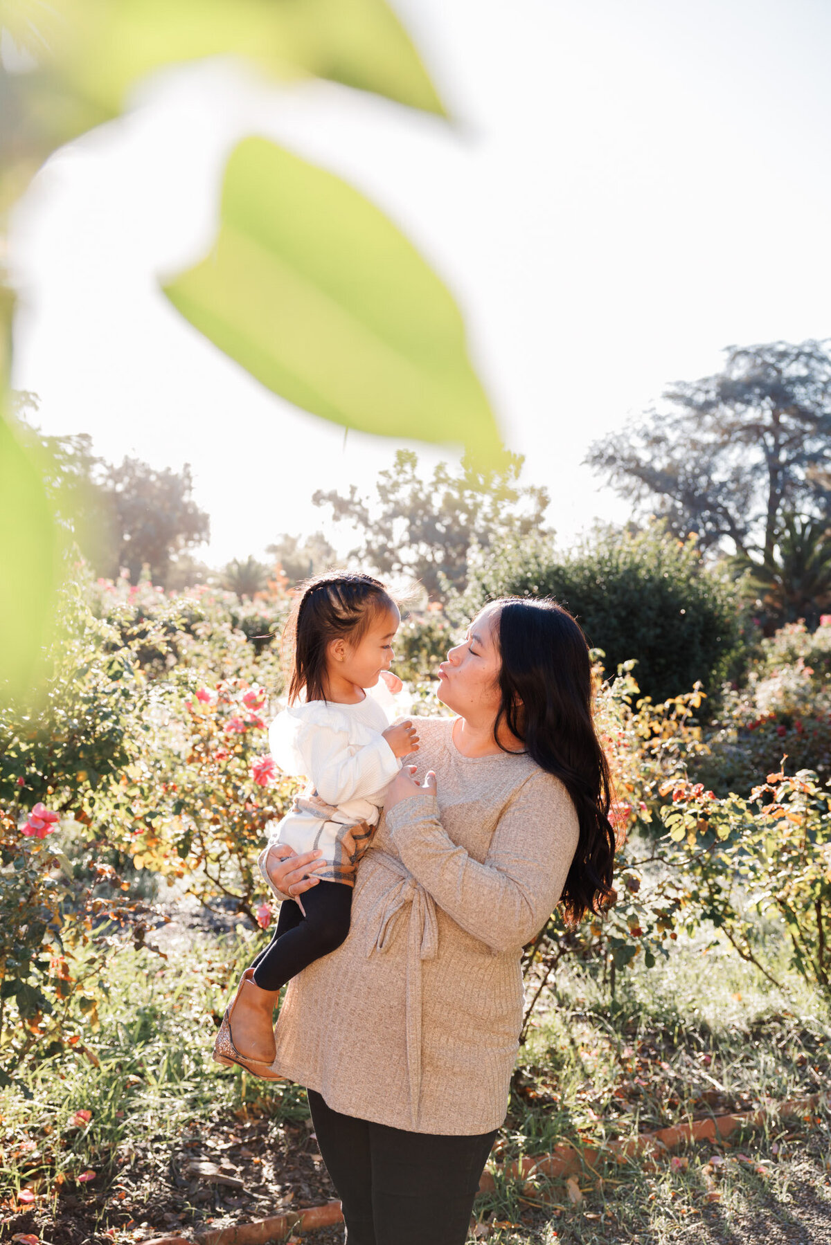 Alyssa-Family-Nile Rose Garden-Fremont-San Francisco Family Photographer-San Francisco Photographer-Emily Pillon Photography-S-111923-35