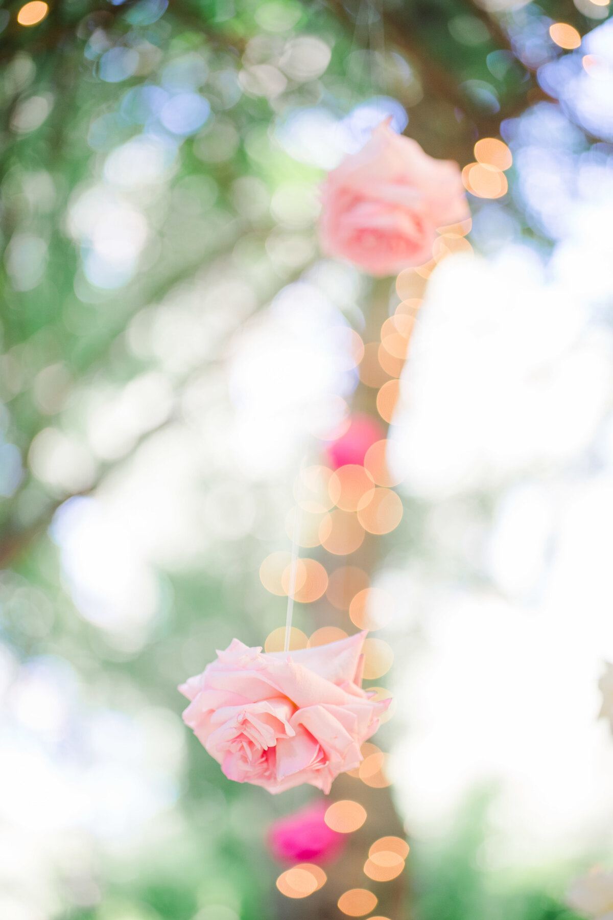 JennyQuicksallPhotography_www.jennyquicksall.com_WestlakeVillageInn_HartleyBotanicaWedding_-445