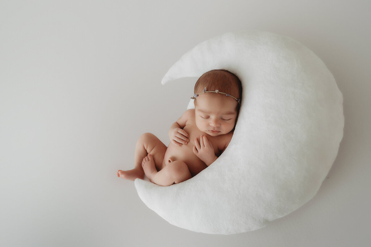 Baby posed for Newborn Portraits in Asheville, NC Newborn Photography Studio.
