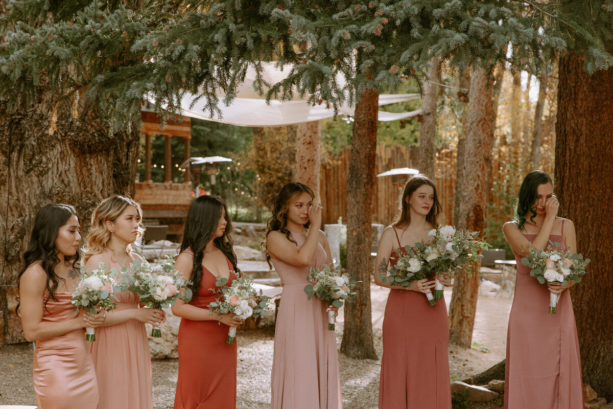 AhnaMariaPhotography_Wedding_Colorado_Daphne&Cy-44
