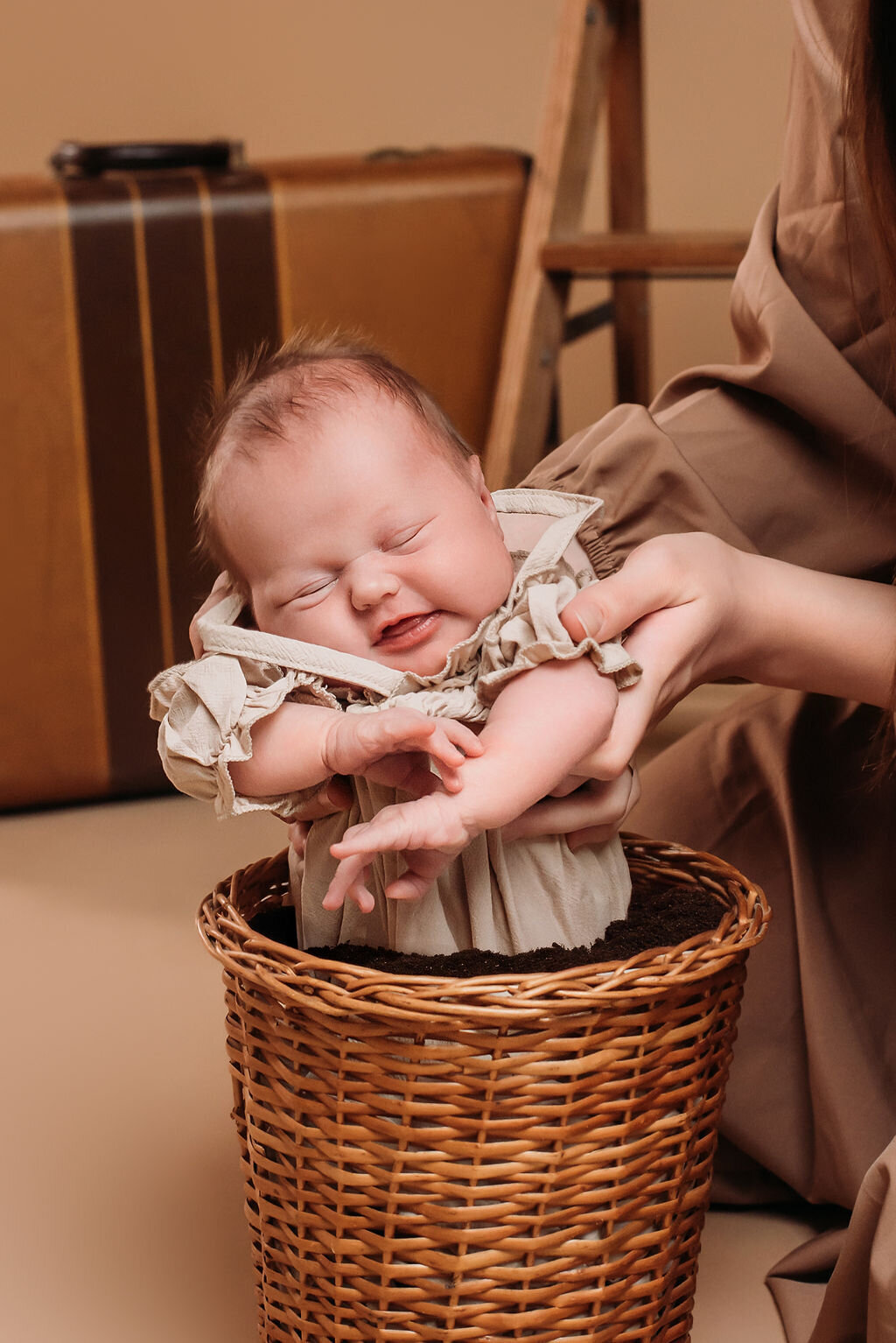 A newborn baby in a beige outfit smiles as it's pulled from a planter to mimic mandrake harvesting in front of a neutral backdrop featuring a vintage suitcase and rustic ladder, captured by a photographer in Bemidji, Minnesota.