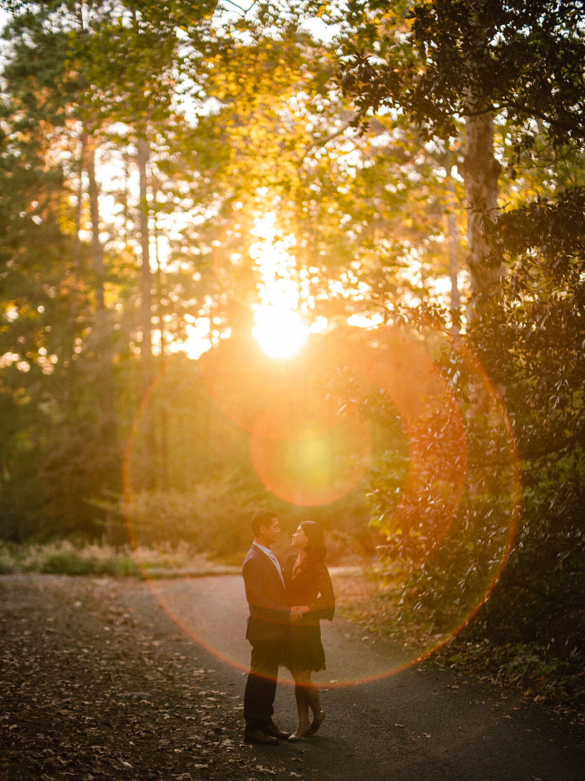 Couple in a forested path, enveloped by a warm sunset glow