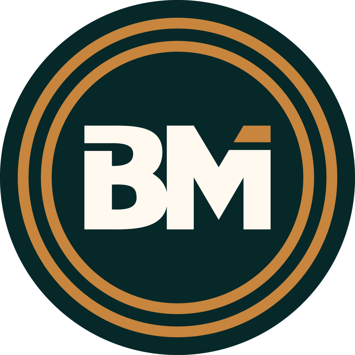 BM Circle - Navy Multi