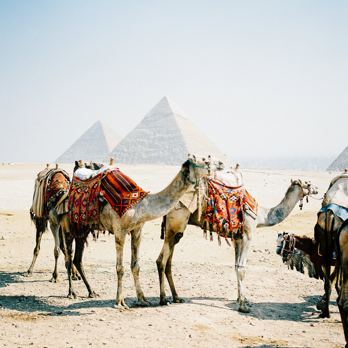 egypt-travel-004
