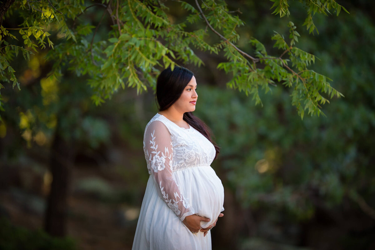 maternity-photographer-las-vegas--31
