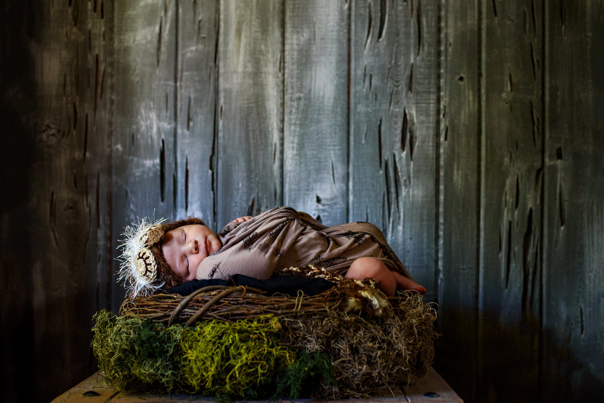 A 7 day old baby wrapped in a blanket with a knit bird had on his head and laying in a birds nest.