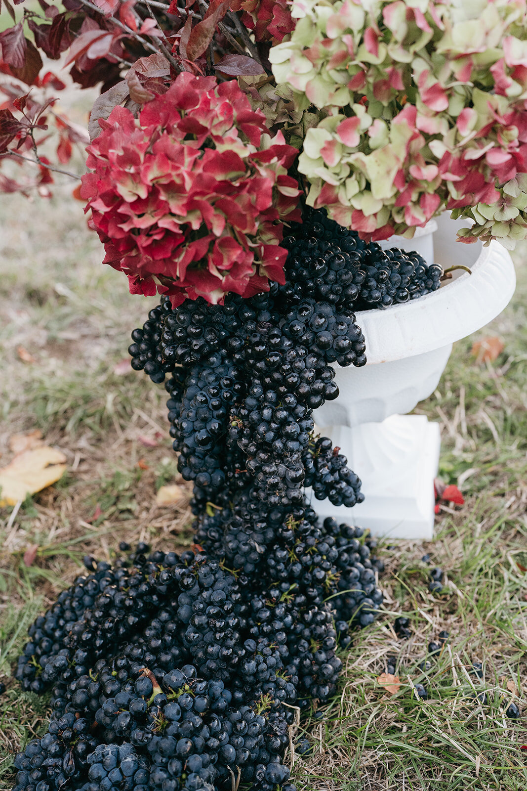 Melissa Clark Photography - Queenstown Wedding Photographer - Central Otago Styled Shoot-337