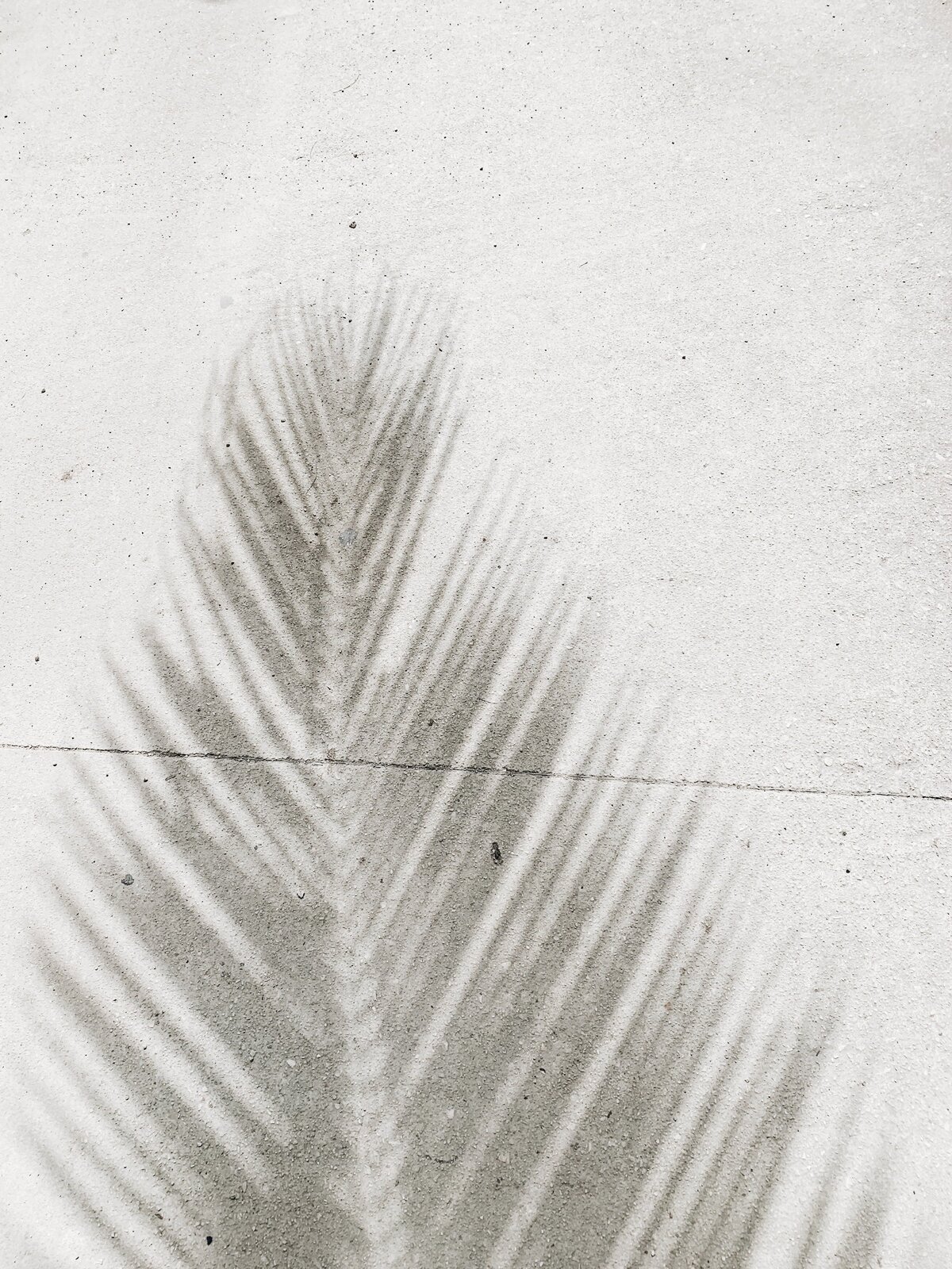 anna-sullivan-zS-d3BP2pXY-unsplash
