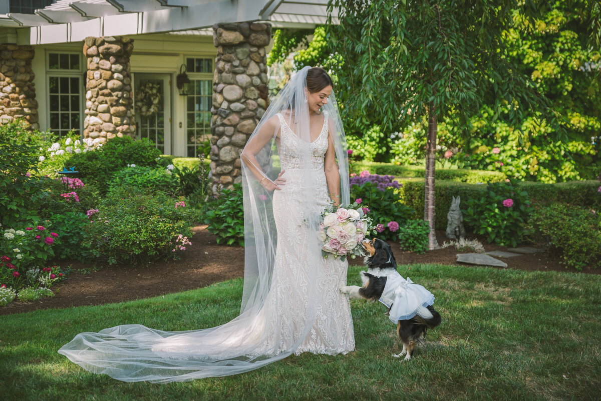 Wedding Bride with dog jumping on her.