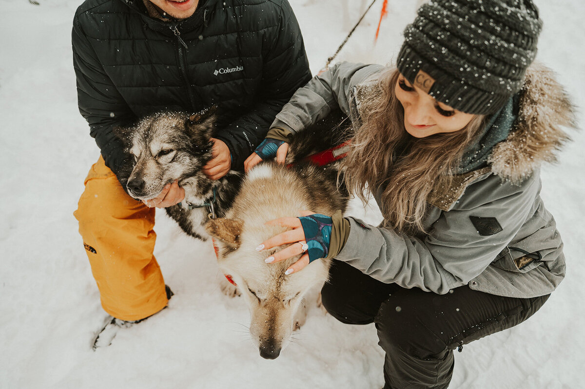 winter-montana-dog-sledding-proposal-presley-gray-photo-7240