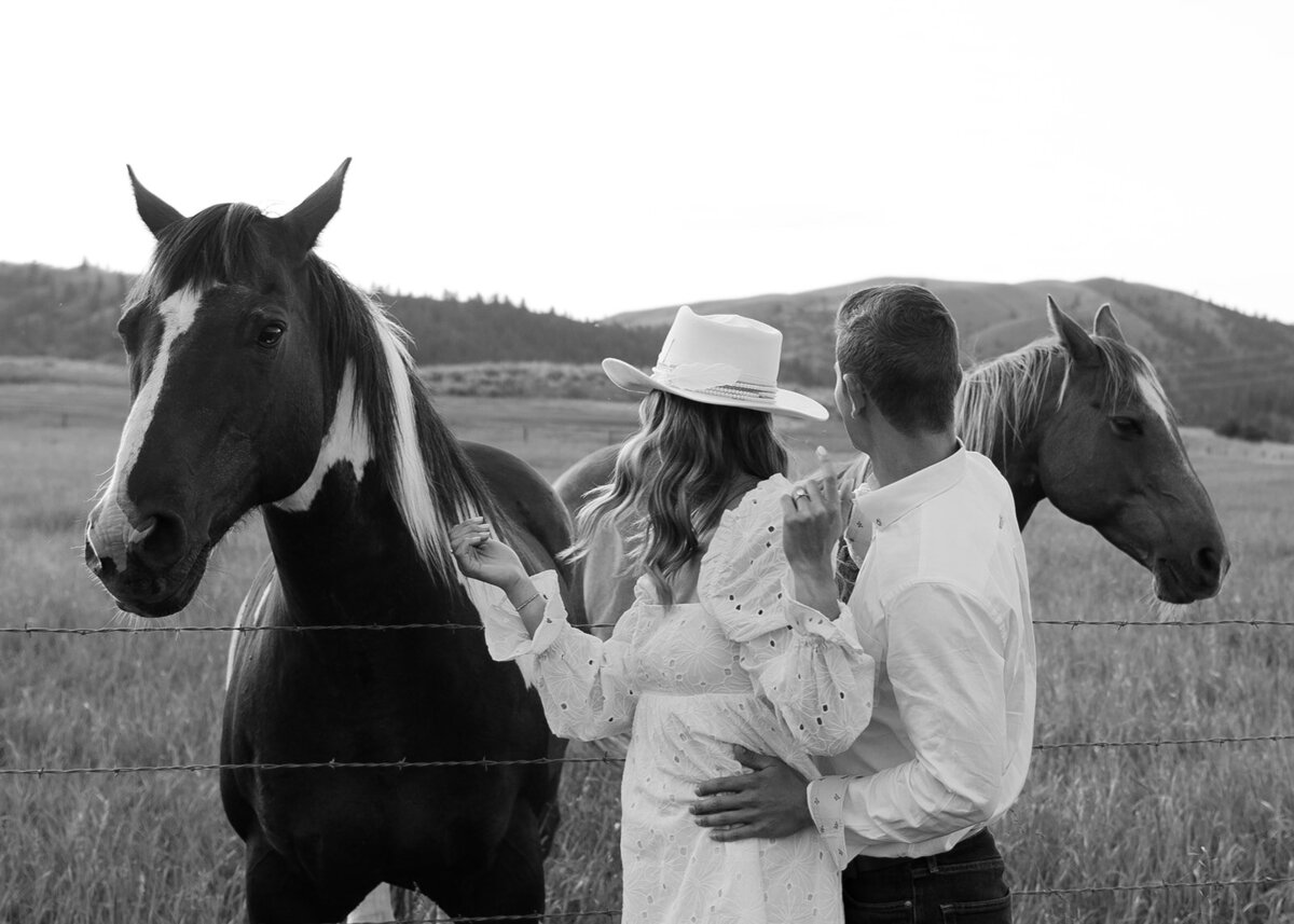 presley-gray-horse-pasture-engagement8818