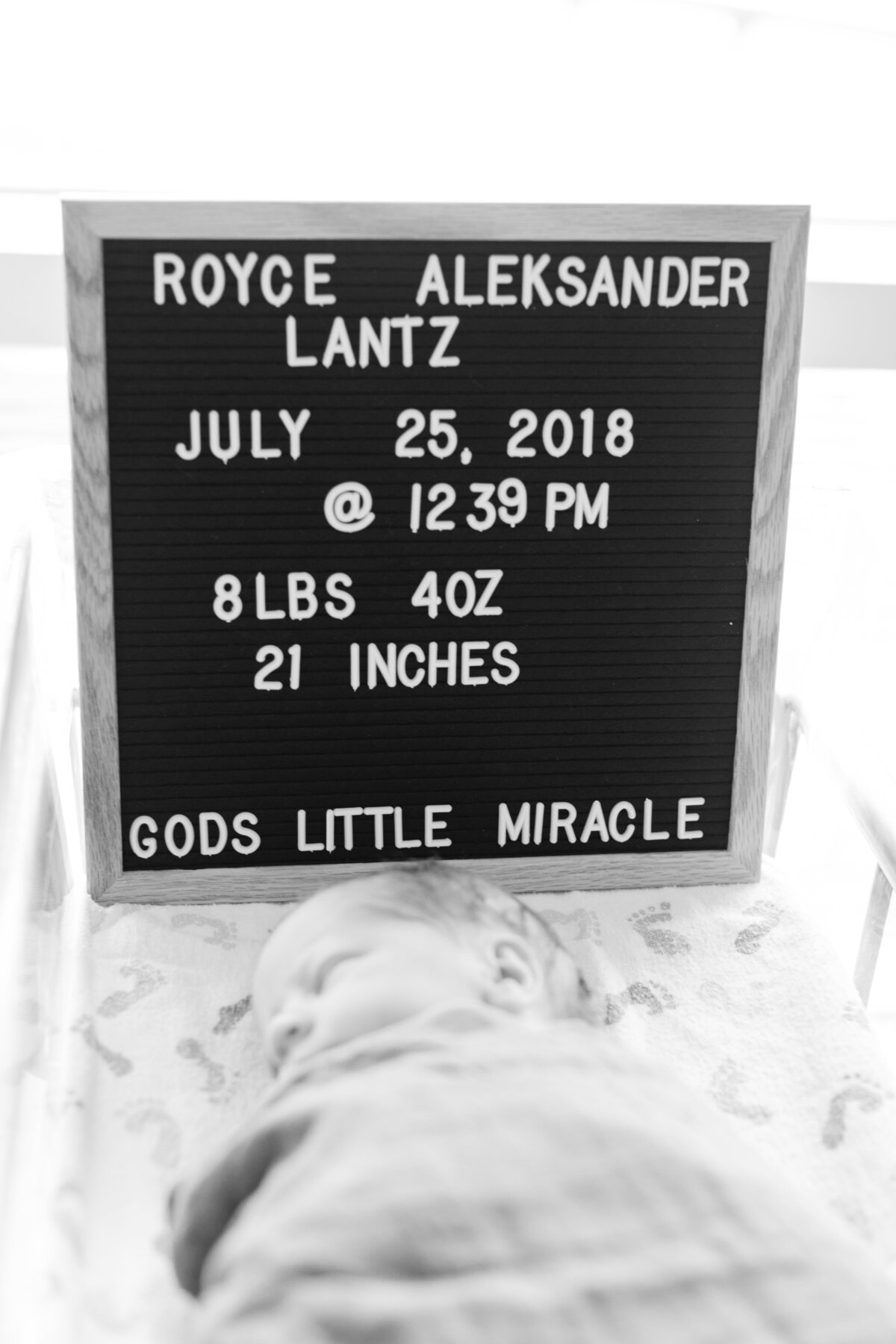 royce-19
