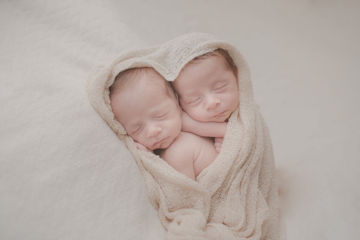diana alvarado photography newborn twins heart shape posed baby