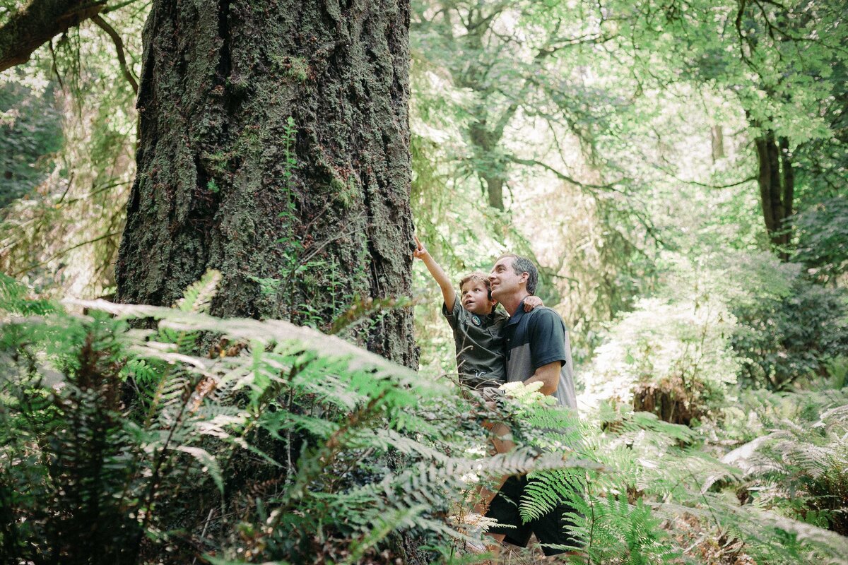 father-son-forest-seattle