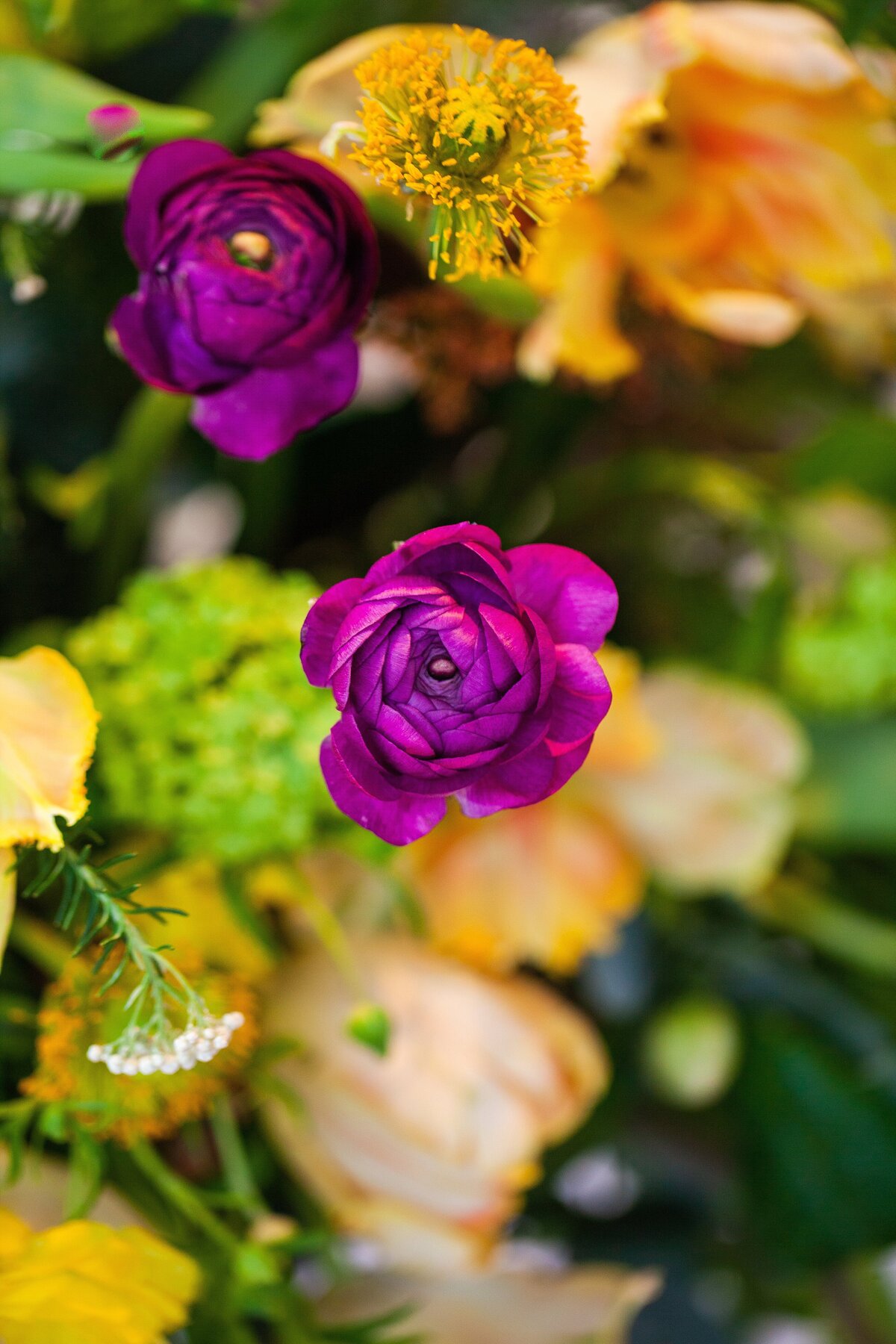 Miriam Faith Florals - Seasonal Edit_0075