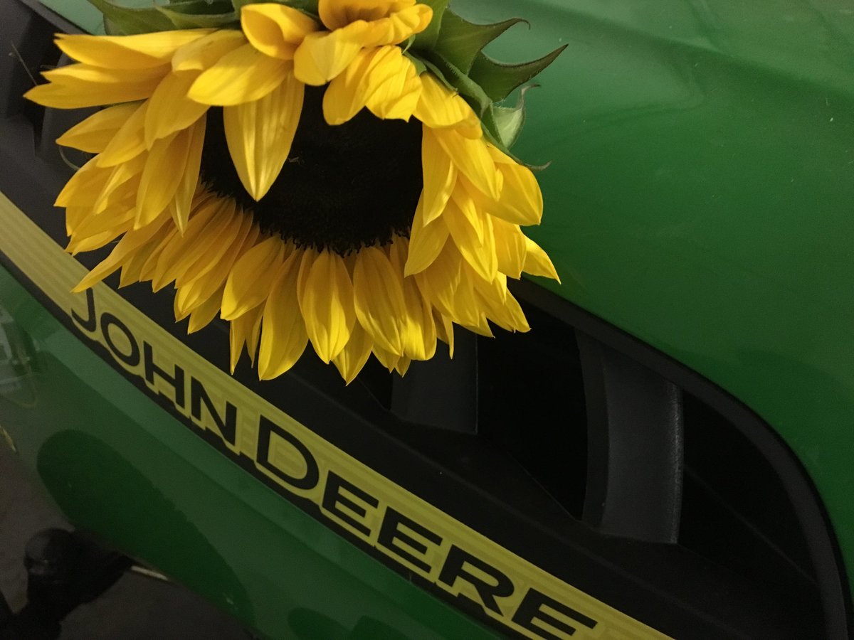John Deere riding lawn tractor with sunflower bloom