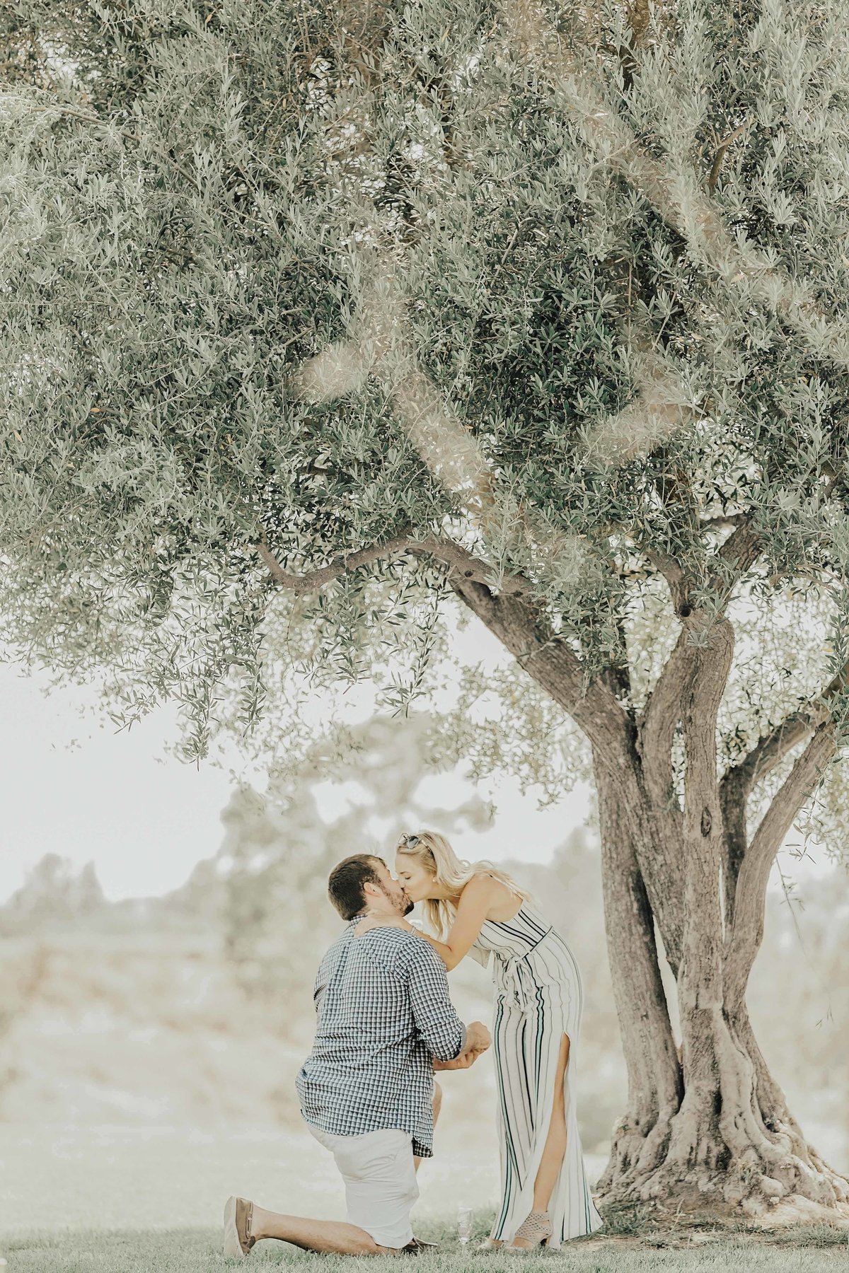 Babsie-Ly-Photography-Fine-Art-Film-Surprise-Proposal-Photographer-Temecula-Thornton-Winery-California-005