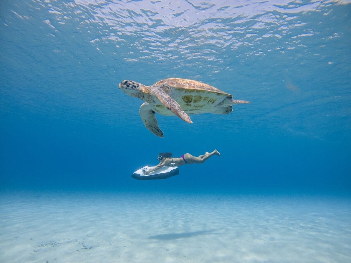 GrenzenloosLeven_InspirerendVerhaal_Inge1