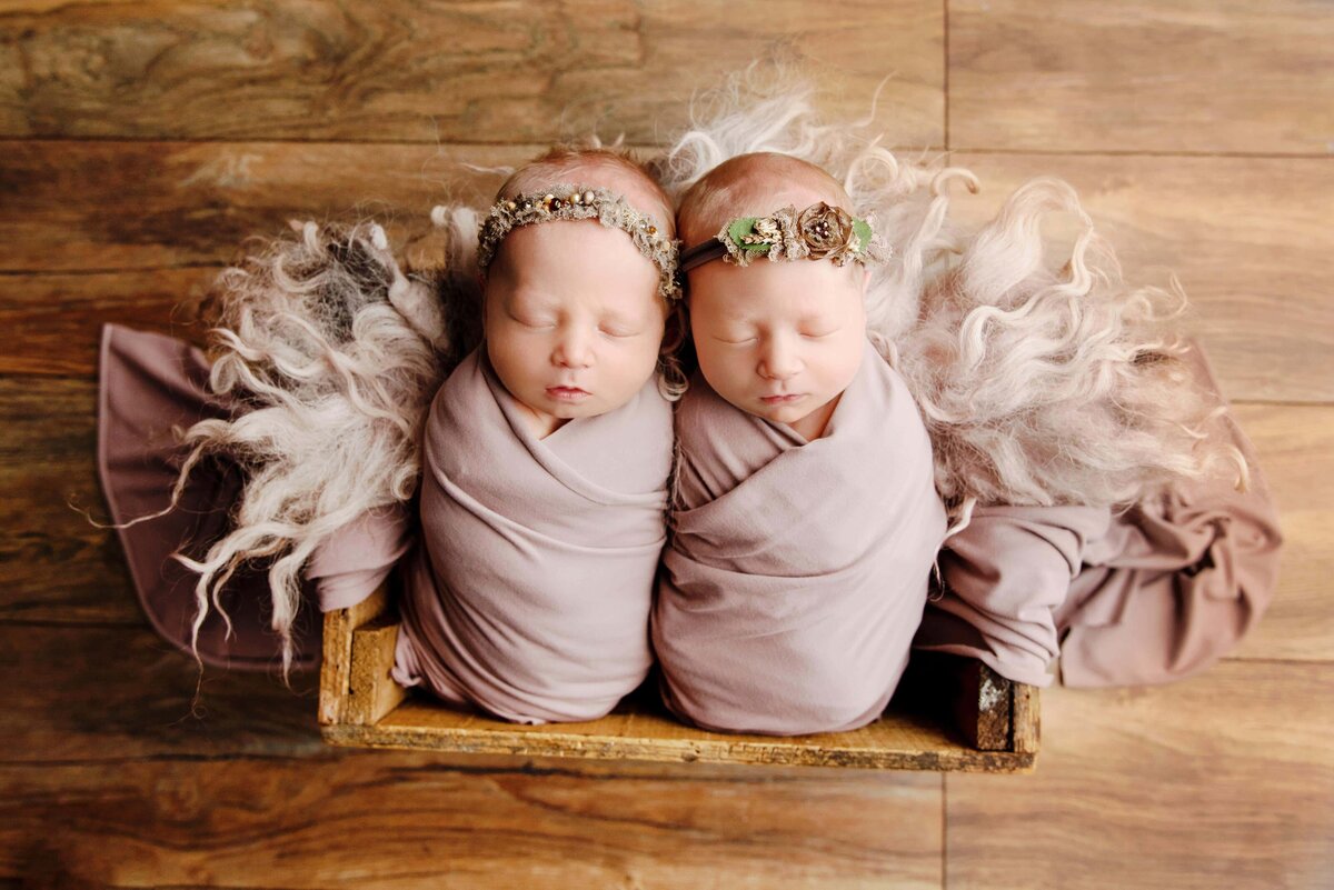 st-louis-newborn-photographer-twin-girls-in-wood-box-and-dusty-pink-colors