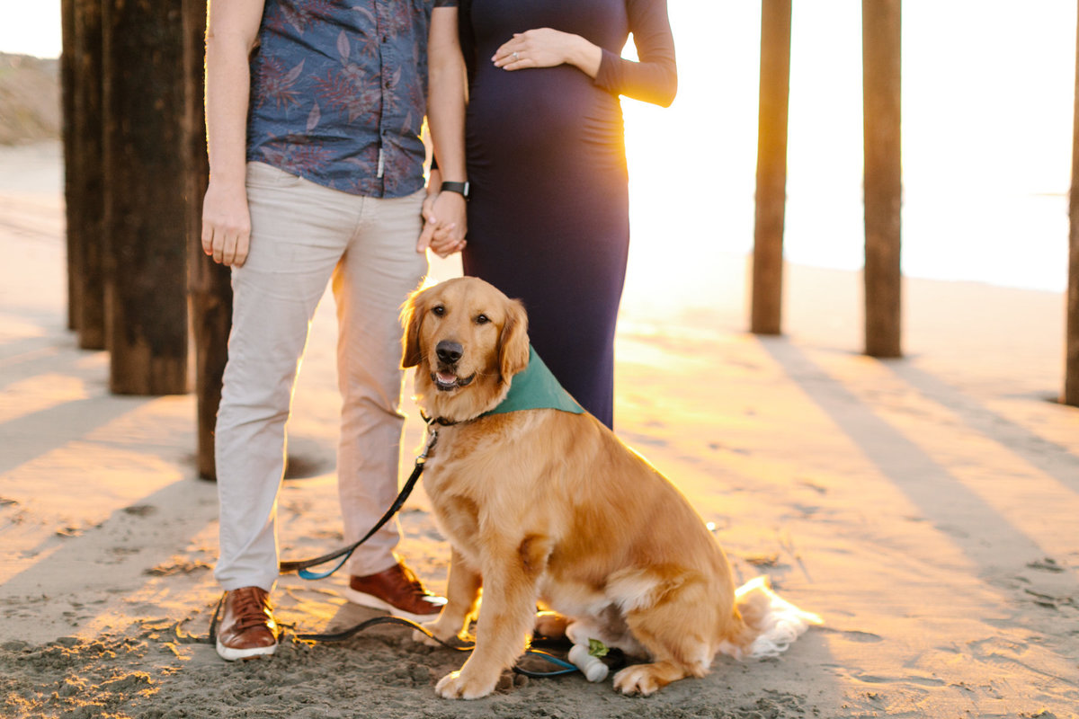 maternity-portrait-avila-beach-enerle00012