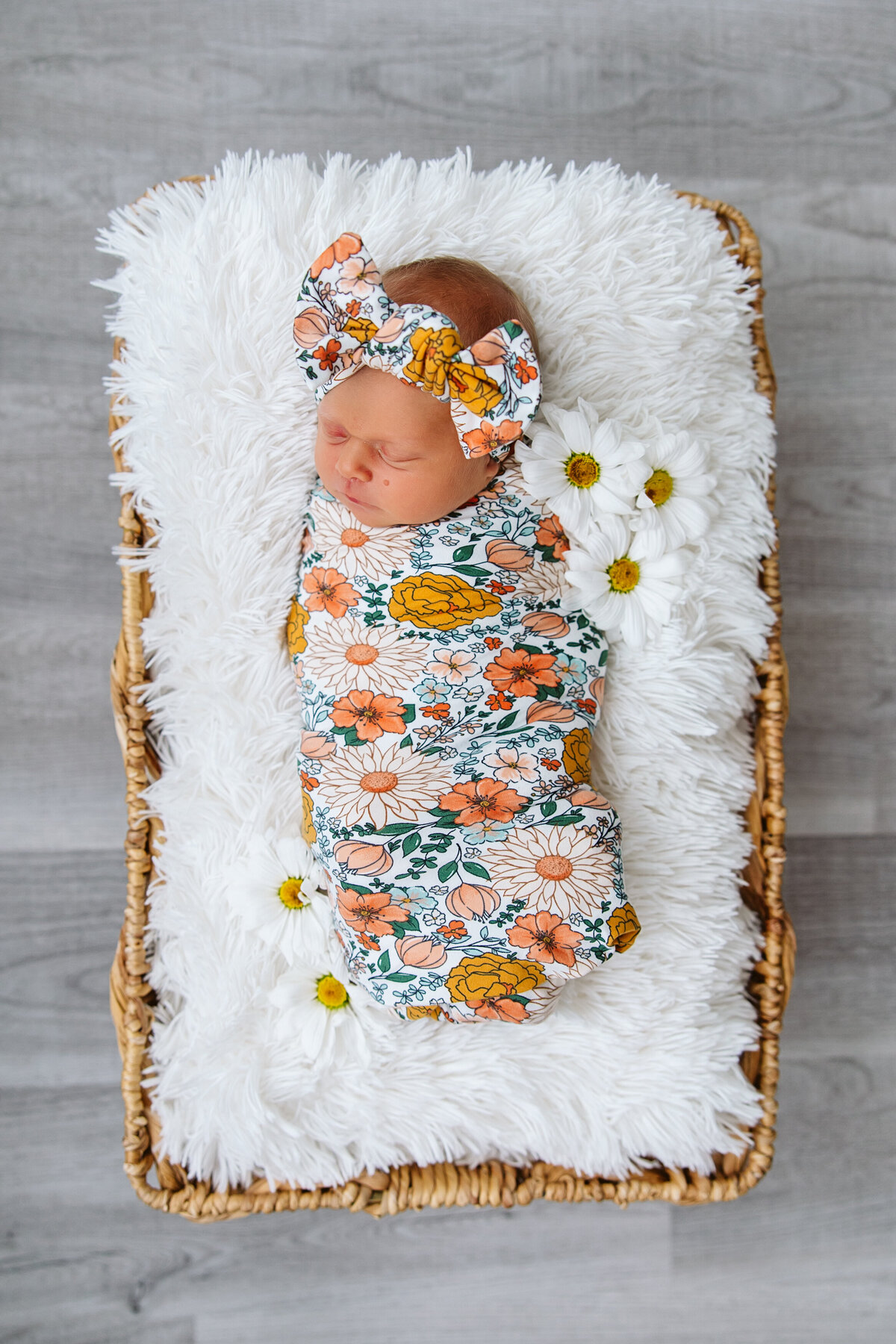 Minnesota-Alyssa Ashley Photography-Christensen newborn session-3
