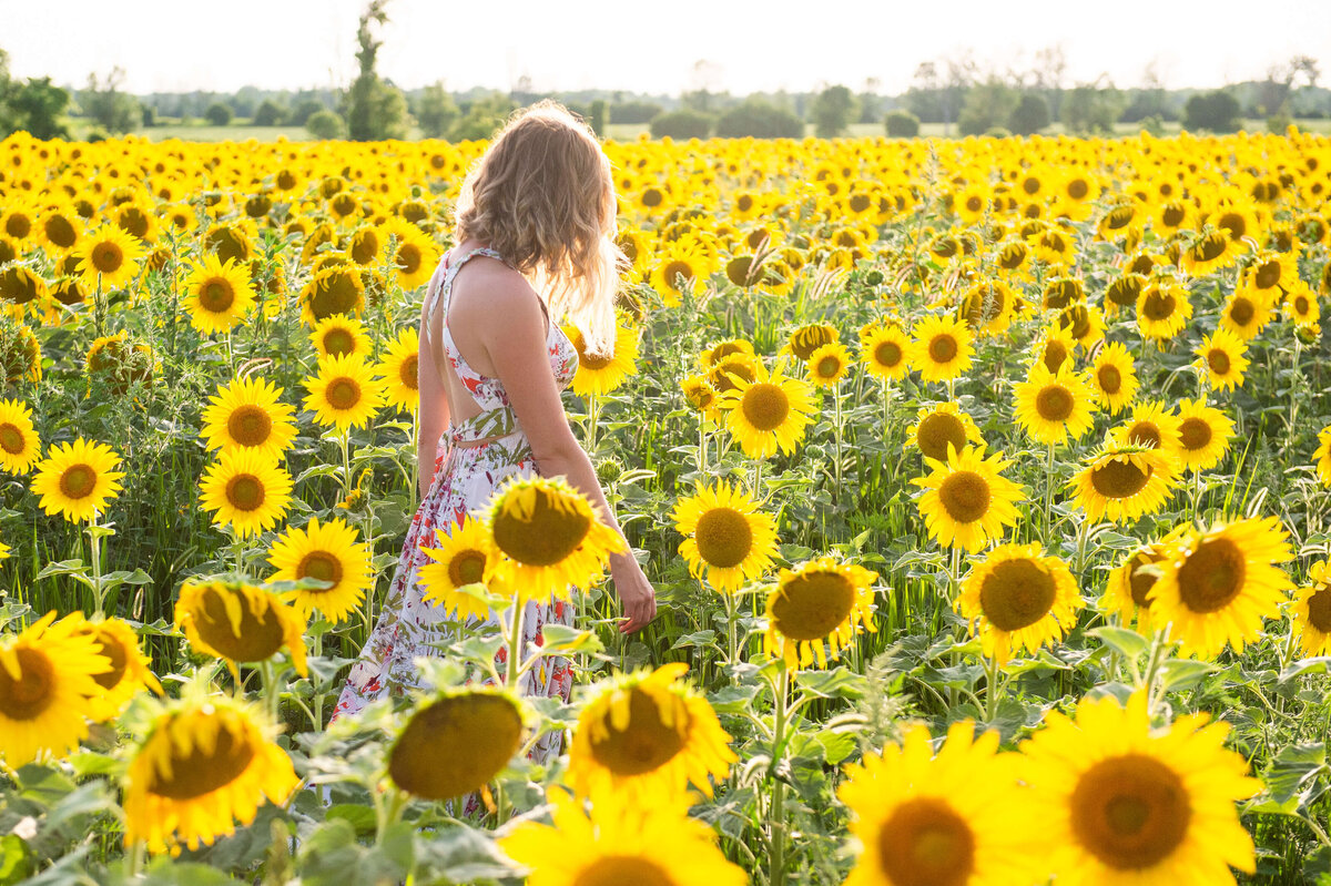 Ottawa Family Photography of a  mom walking in a filed of sunflowers at sunset