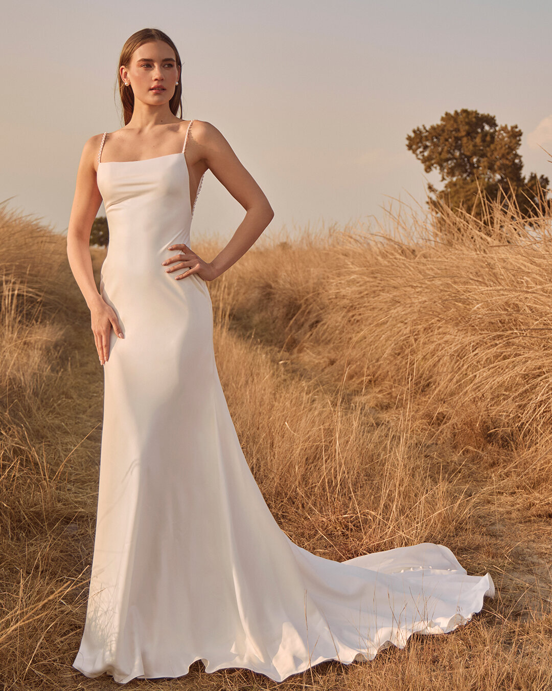 LP2541-Jorina-(1)