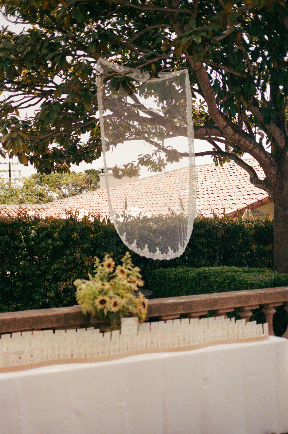 kodak_400_c_41_27681_95654_213383_002124620005