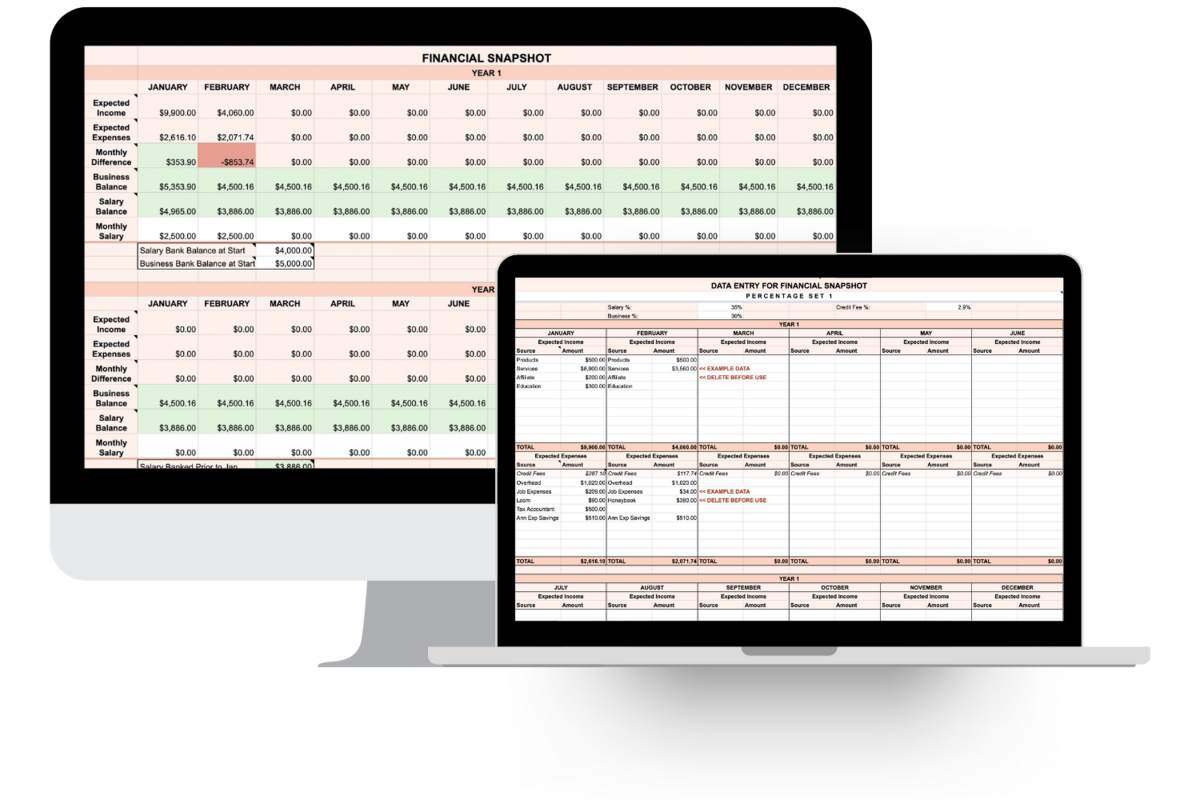 2-Year-Financial-Snapshot–Multiple-Percentage-Sets-Val-Marlene-Creative-Business-Spreadsheets-for-Creatives