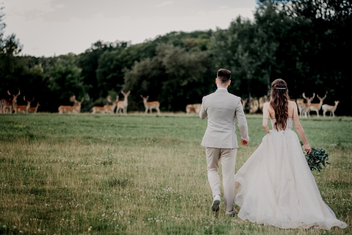 victoria-priessnitz-smXTwtqx_jY-unsplash