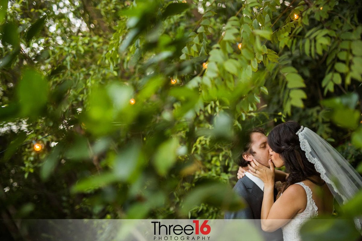 Bride and Groom kiss while in the garden at Eden Gardens