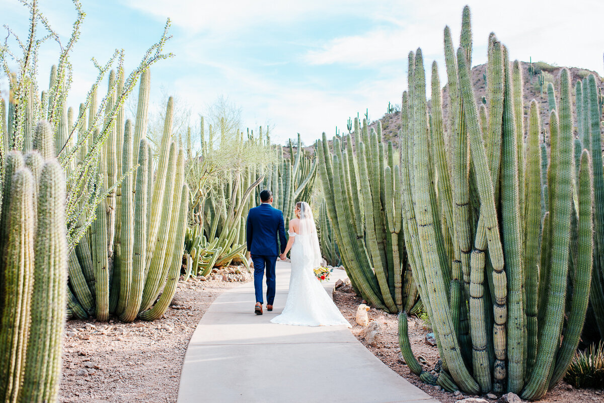 Arizona Wedding Photographer-30