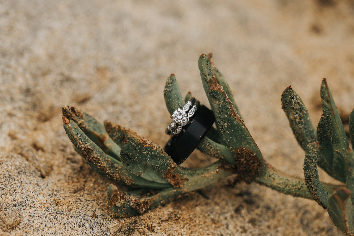 Wedding ring detail picture of a San Diego elopement.