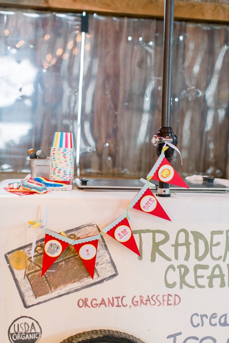 Circus Themed 1st Birthday Indianapolis Party Planner_0079