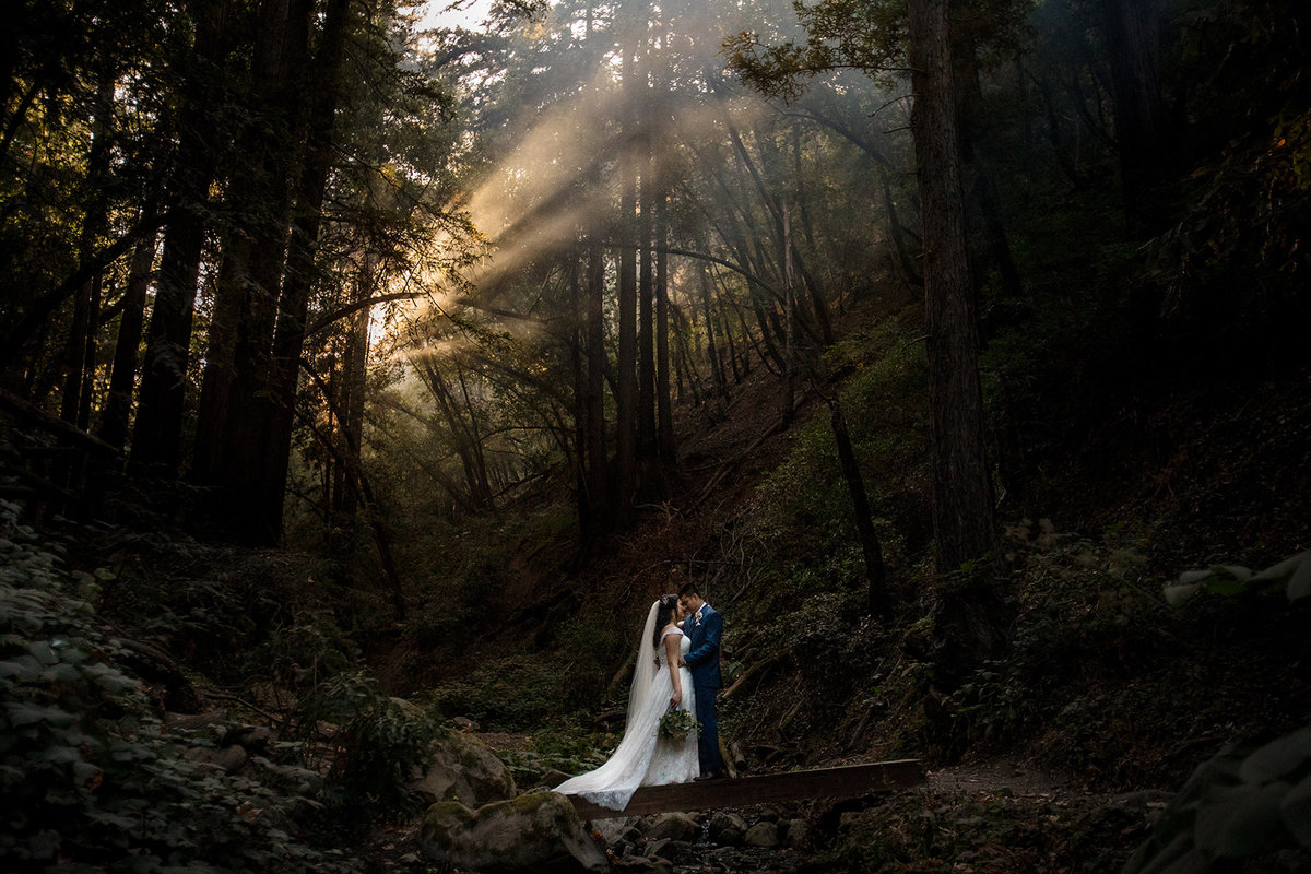Saratoga Springs Forest Wedding CA