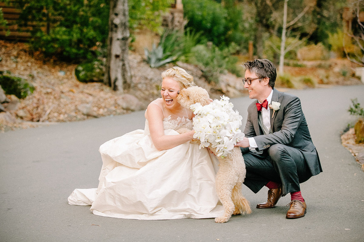 A bride and groom and their dog on their wedding day.