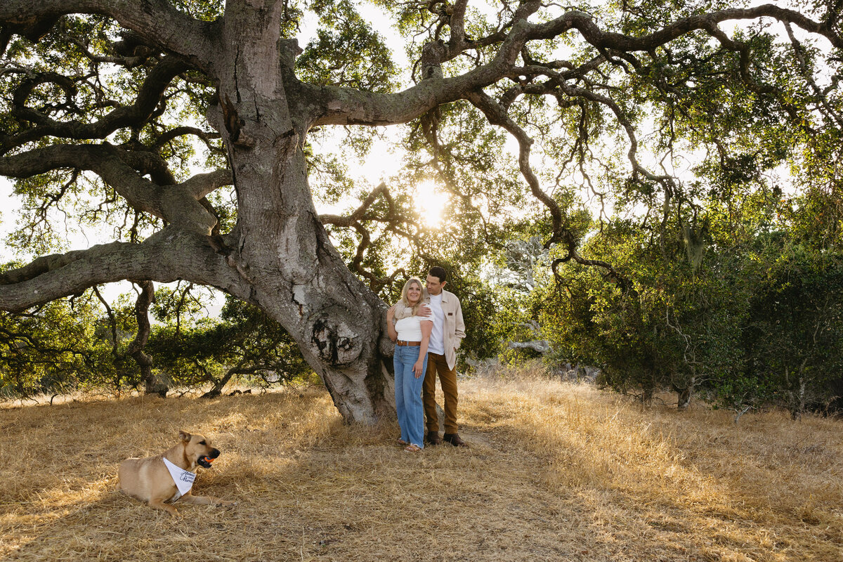 Bay-Area-Engagement-13